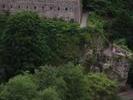 107-0783 IMG